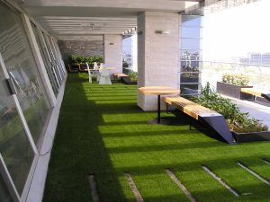 Lawns or terrace